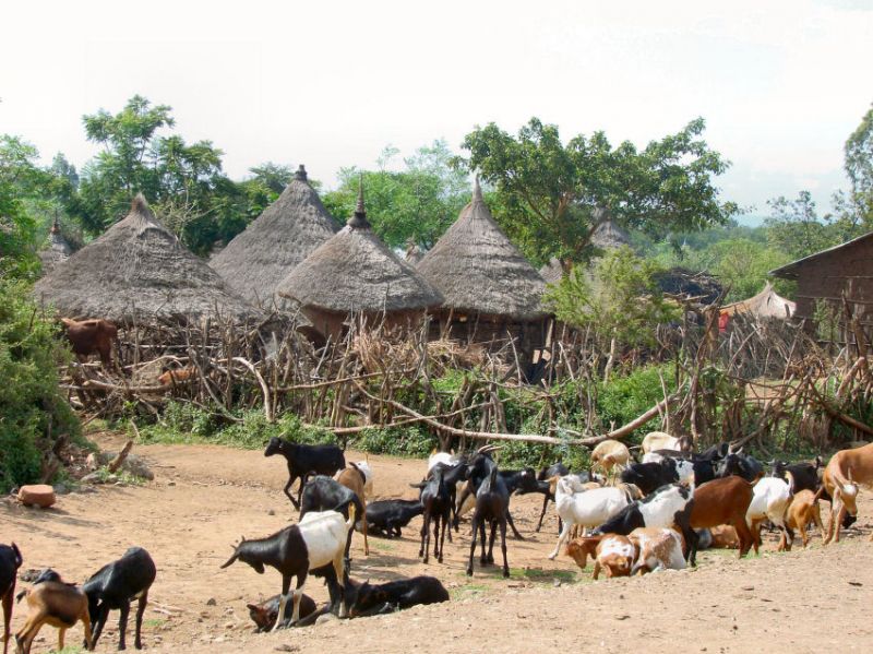Dorf des Konso - Volkes
